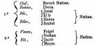 thumbs/1784_traenheim_families_5+6.png.jpg