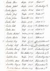 thumbs/1924_voting-list_Fischleber.pdf.jpg
