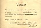 thumbs/05_1919.01.03_certificate_volunteer_industry.png.jpg